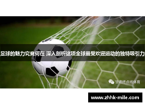足球的魅力究竟何在 深入剖析这项全球最受欢迎运动的独特吸引力