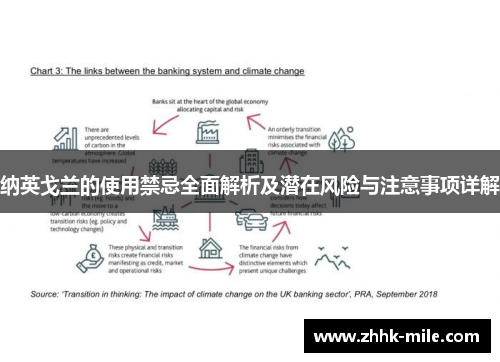 纳英戈兰的使用禁忌全面解析及潜在风险与注意事项详解 纳英戈兰的使用禁忌全面解析及潜在风险与注意事项详解