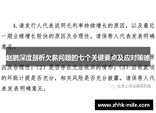 赵鹏深度剖析欠薪问题的七个关键要点及应对策略