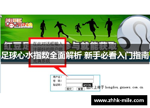 足球心水指数全面解析 新手必看入门指南