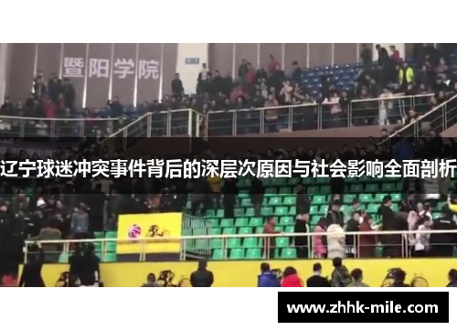辽宁球迷冲突事件背后的深层次原因与社会影响全面剖析